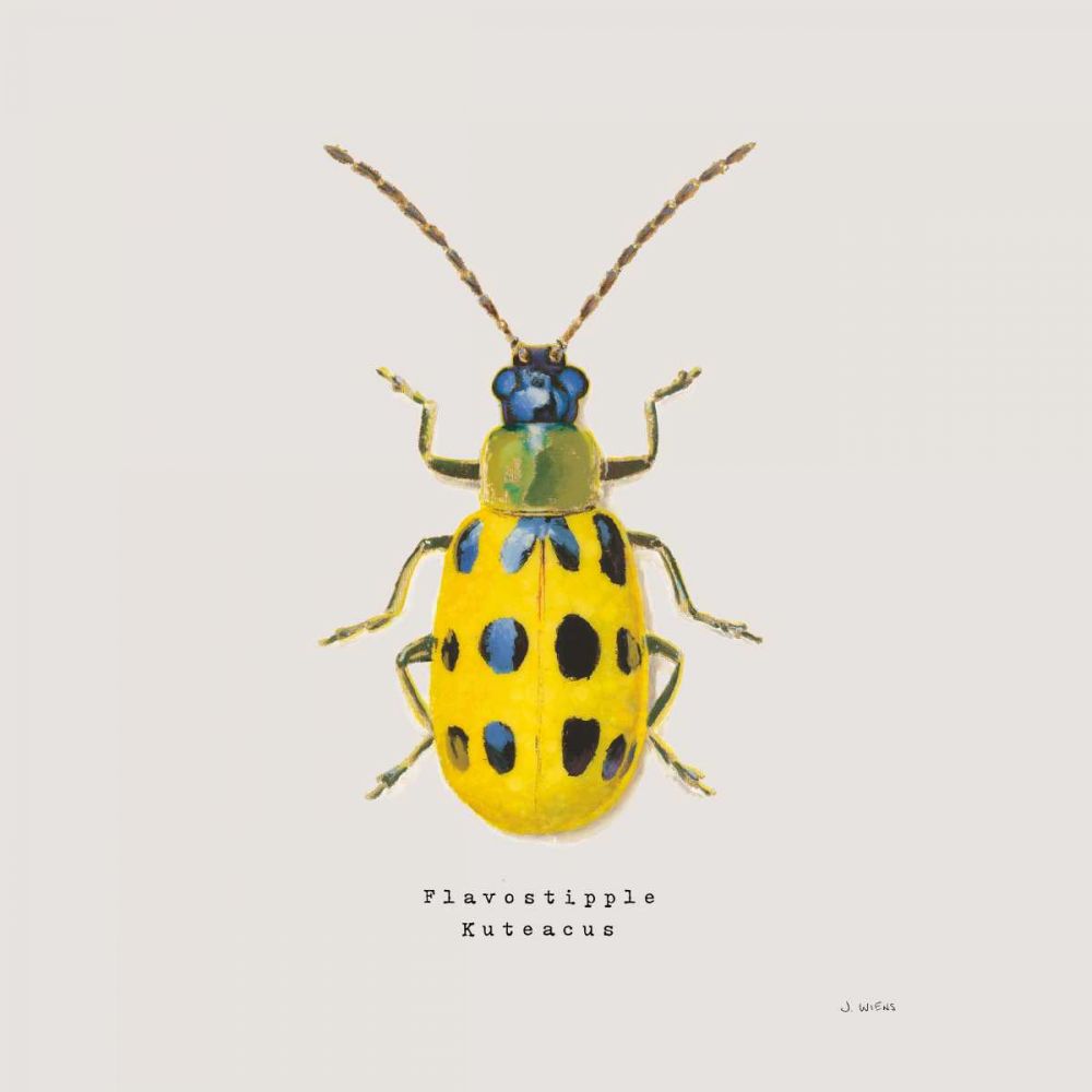 Adorning Coleoptera VII Sq Golden art print by James Wiens for $57.95 CAD