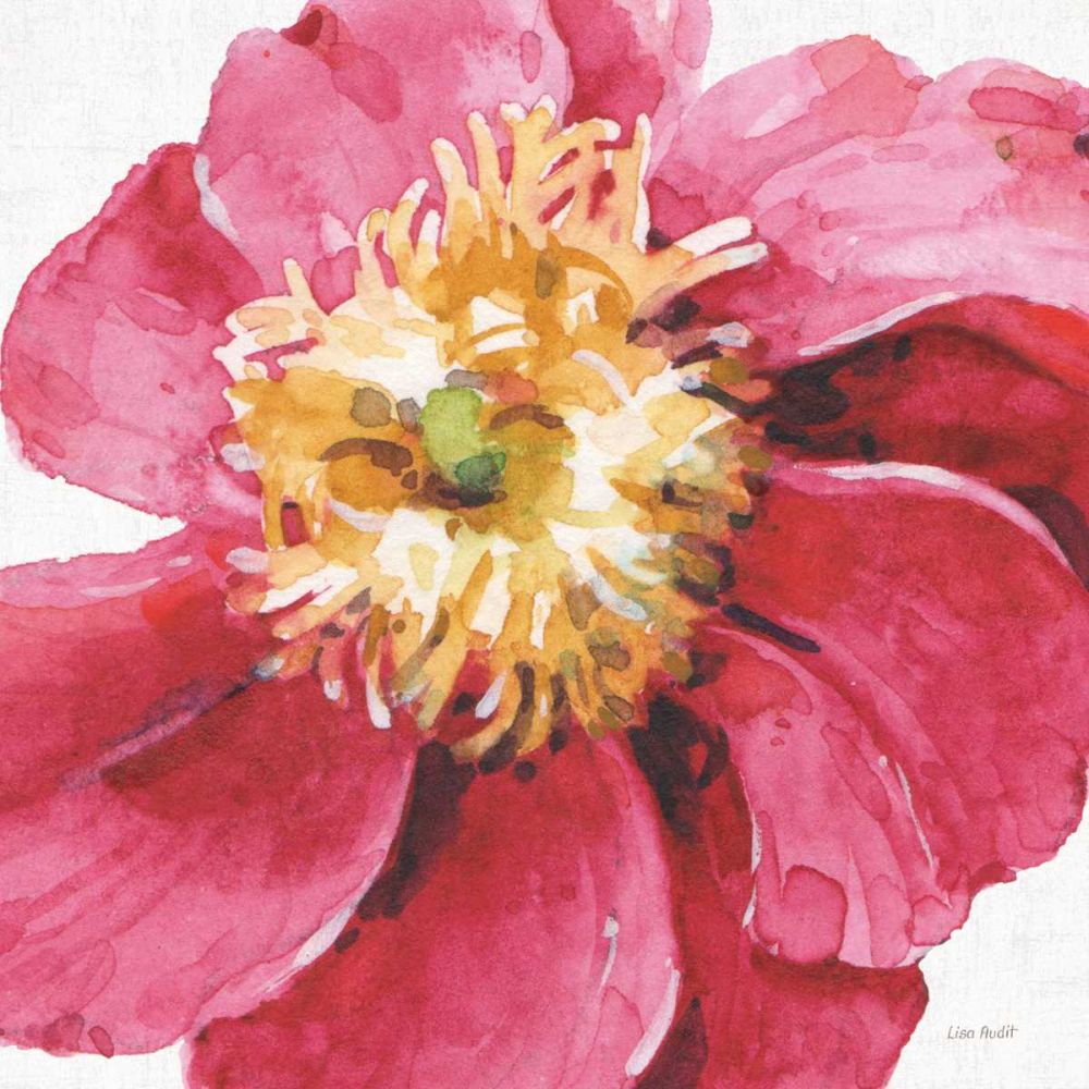 Pink Garden VI art print by Lisa Audit for $57.95 CAD