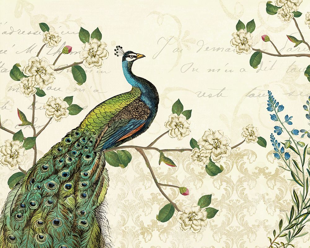 Peacock Arbor I Ivory art print by Sue Schlabach for $57.95 CAD