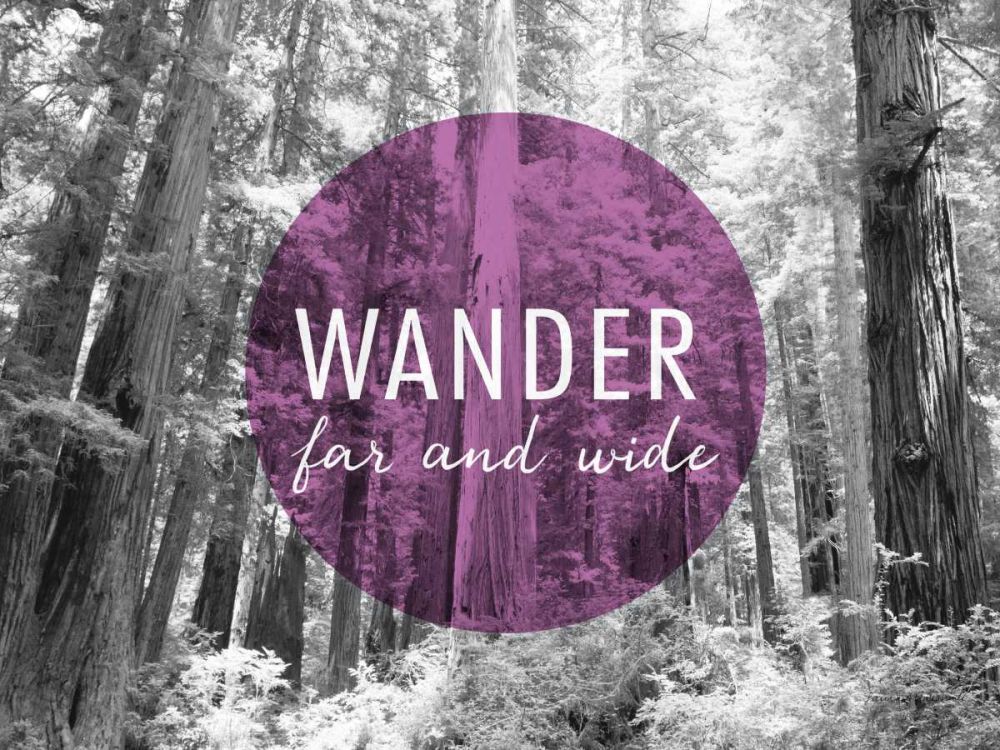 Wander Far and Wide v2 art print by Laura Marshall for $57.95 CAD