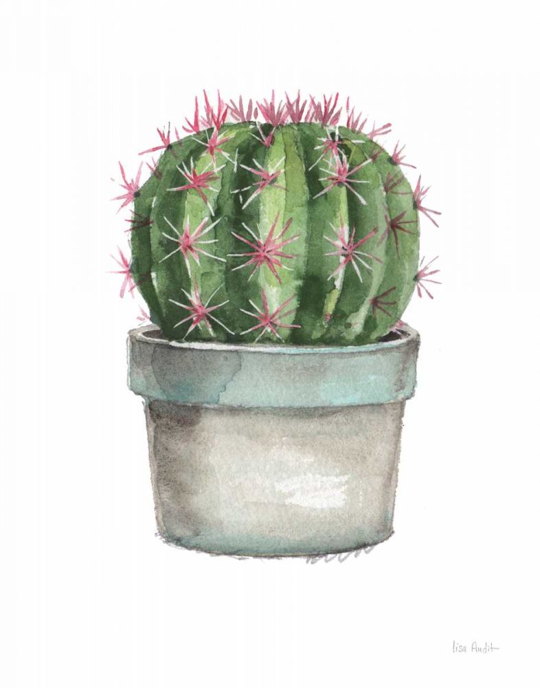 Mixed Greens Succulent II art print by Lisa Audit for $57.95 CAD