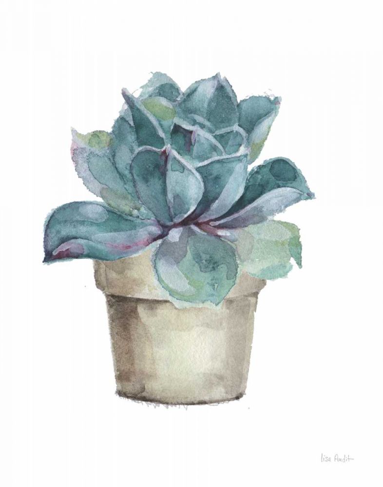 Mixed Greens Succulent IV art print by Lisa Audit for $57.95 CAD