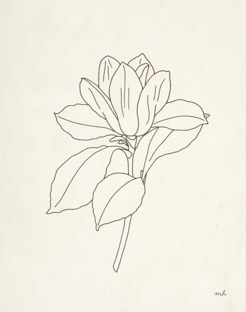 Magnolia Line Drawing art print by Moira Hershey for $57.95 CAD