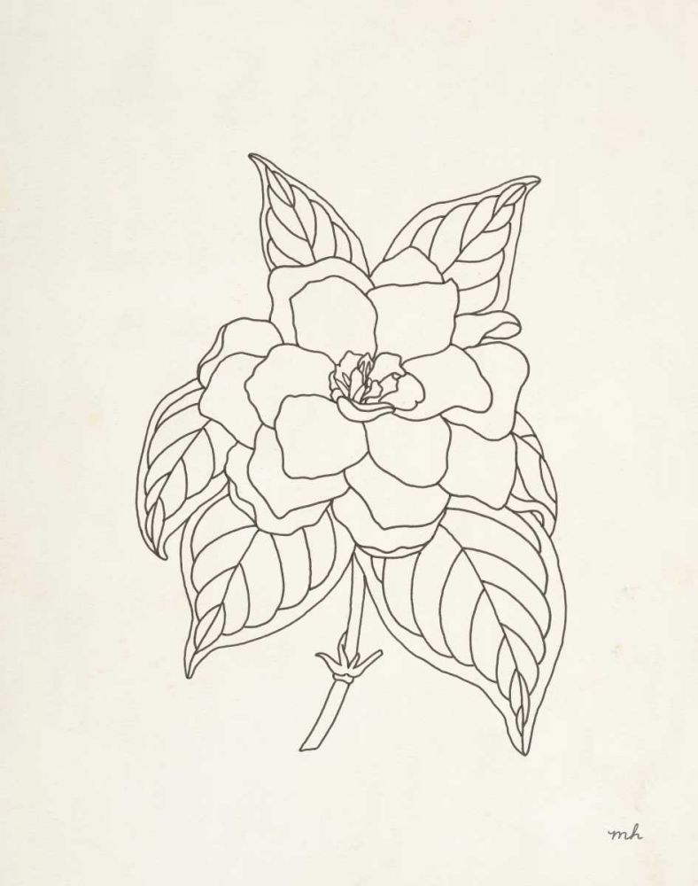 Gardenia Line Drawing art print by Moira Hershey for $57.95 CAD