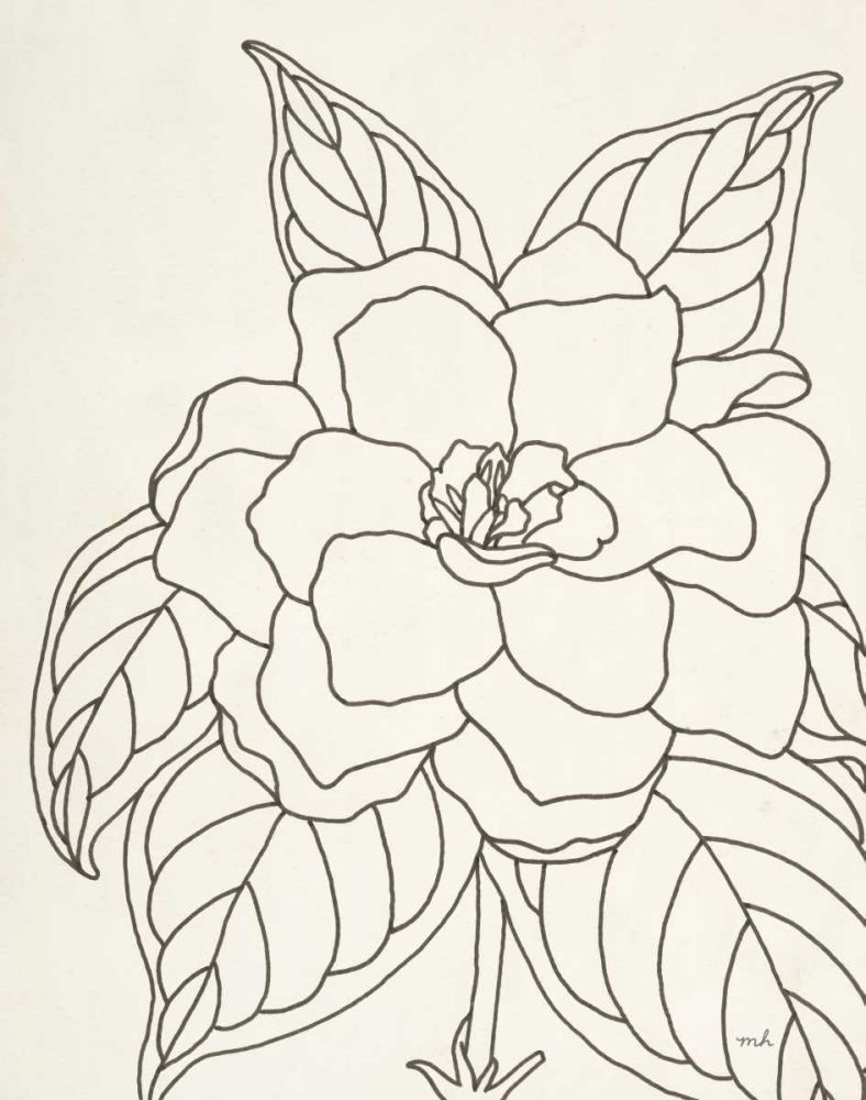 Gardenia Line Drawing Crop art print by Moira Hershey for $57.95 CAD