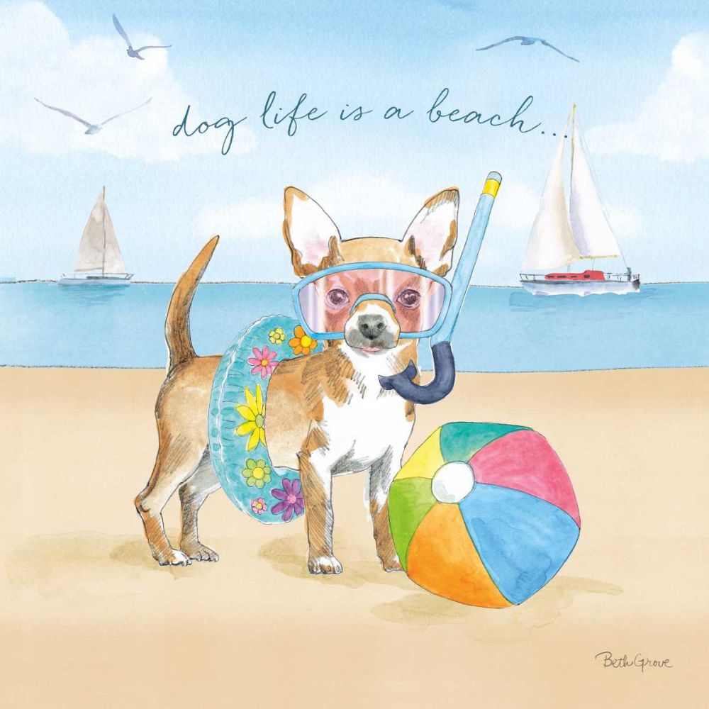 Summer Paws II art print by Beth Grove for $57.95 CAD