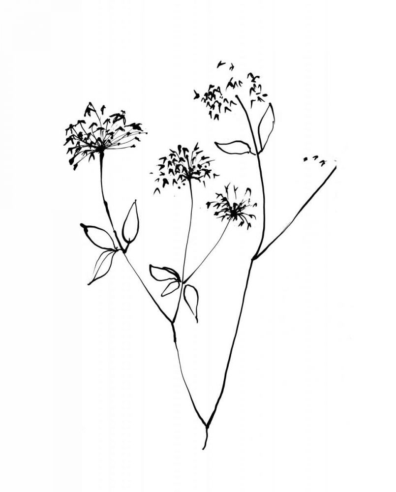 Ink Flowers 09 on White art print by Avery Tillmon for $57.95 CAD