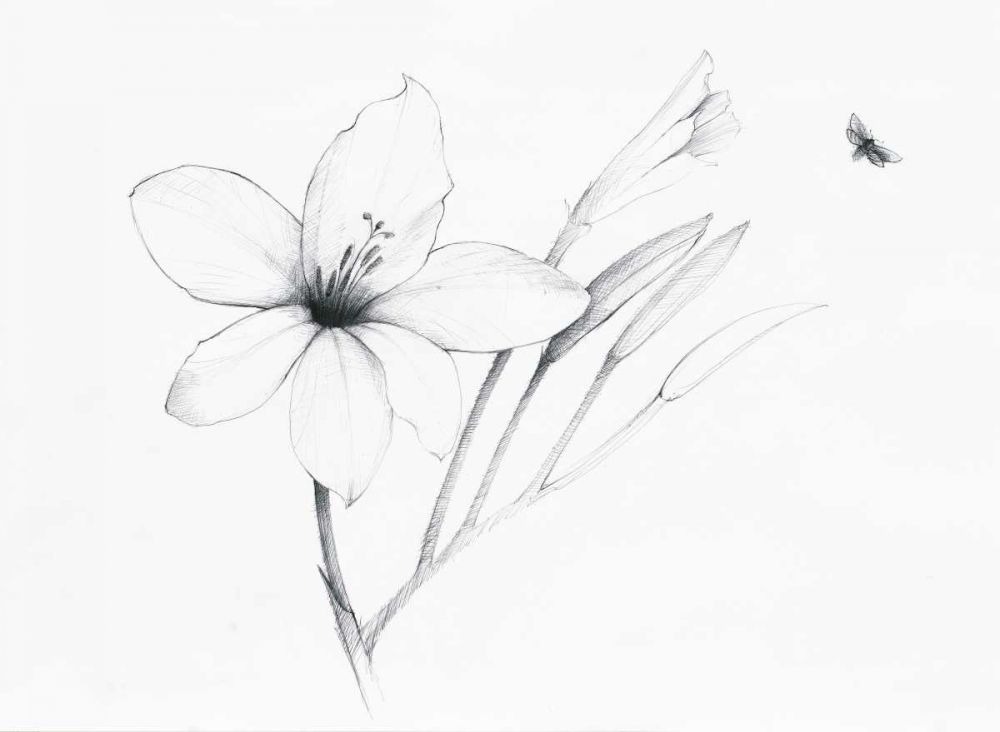 Graphite Floral II art print by Avery Tillmon for $57.95 CAD