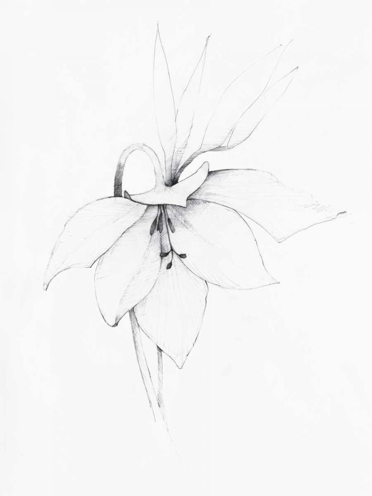Graphite Floral III art print by Avery Tillmon for $57.95 CAD