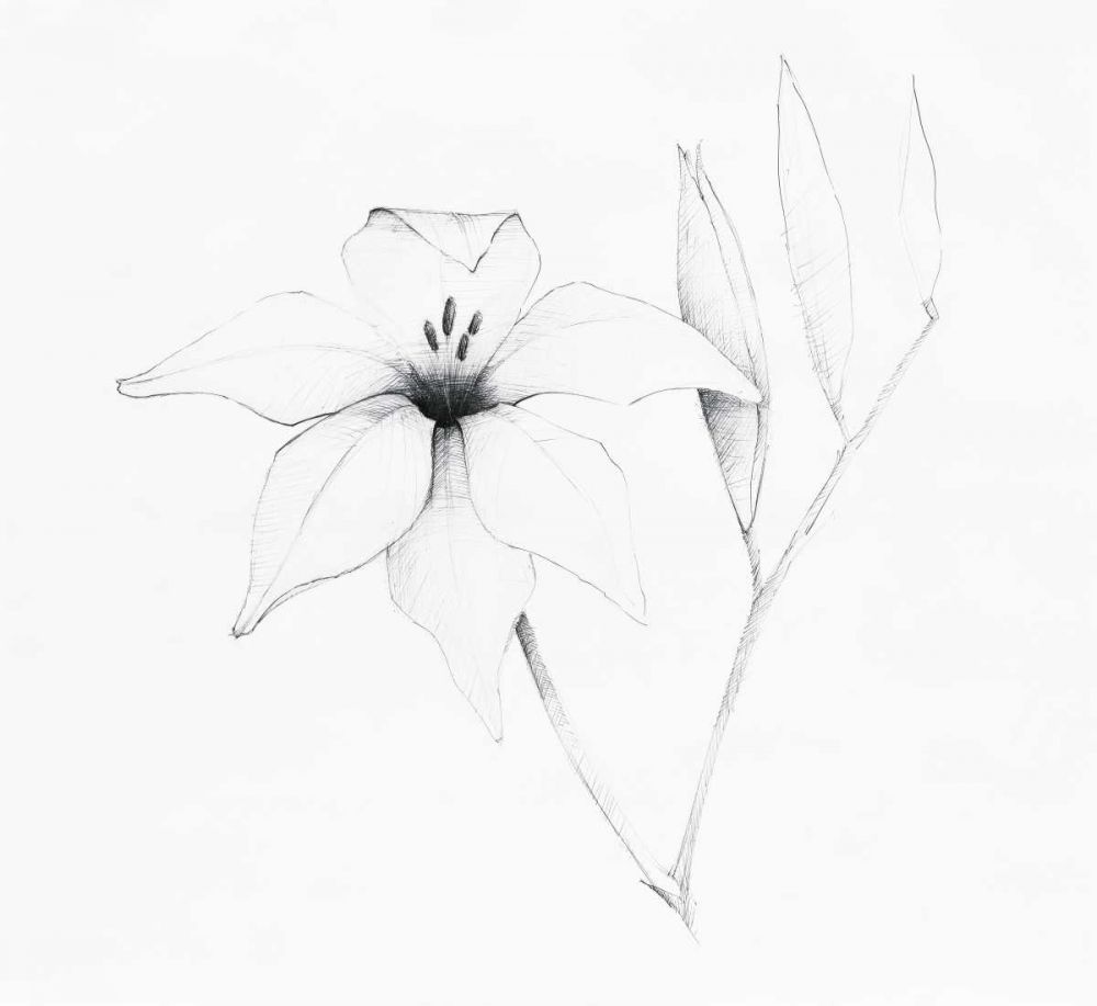 Graphite Floral V art print by Avery Tillmon for $57.95 CAD