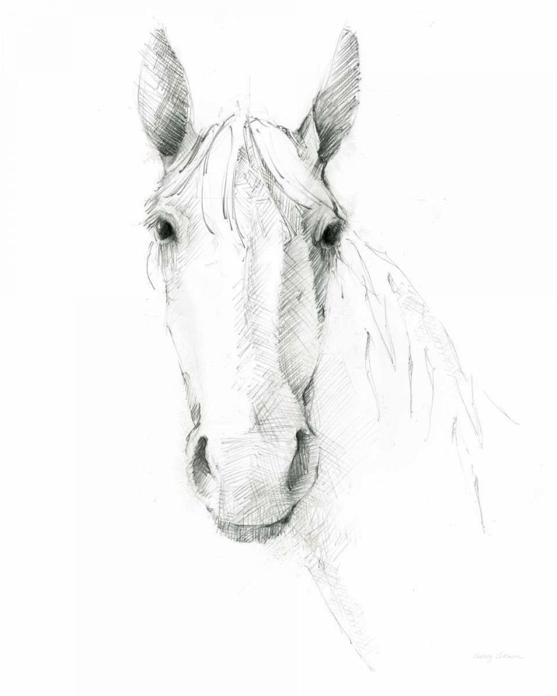 Horse Sketch art print by Avery Tillmon for $57.95 CAD