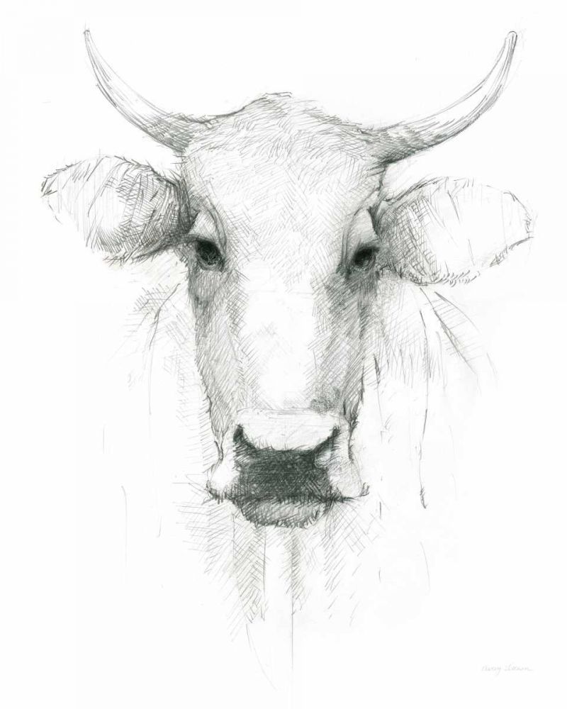 Cow Sketch art print by Avery Tillmon for $57.95 CAD
