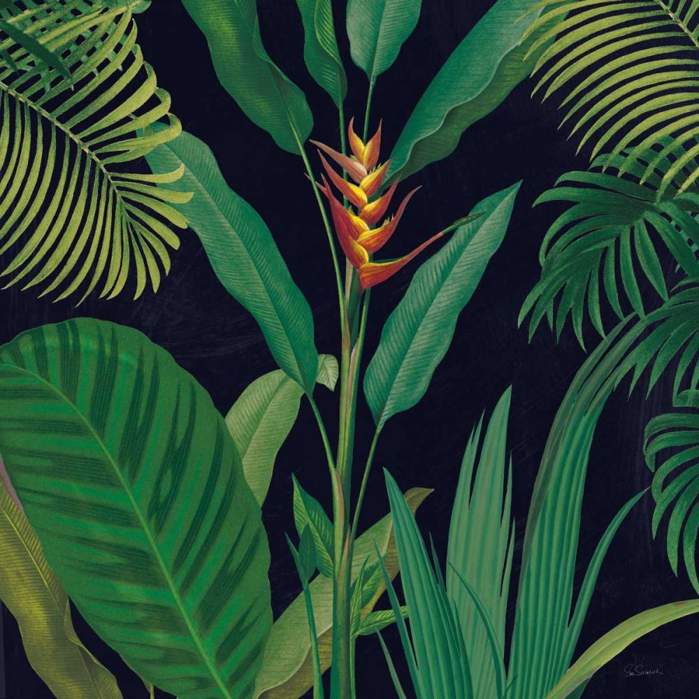 Dramatic Tropical II art print by Sue Schlabach for $57.95 CAD