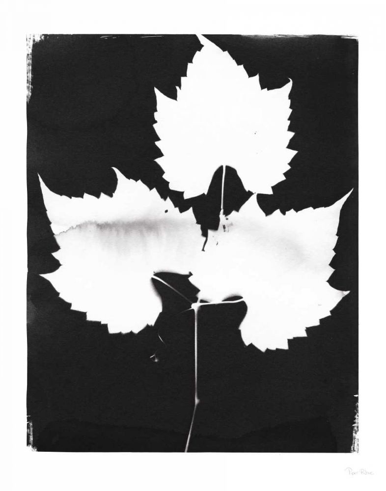 Nature by the Lake Leaves I Black art print by Piper Rhue for $57.95 CAD