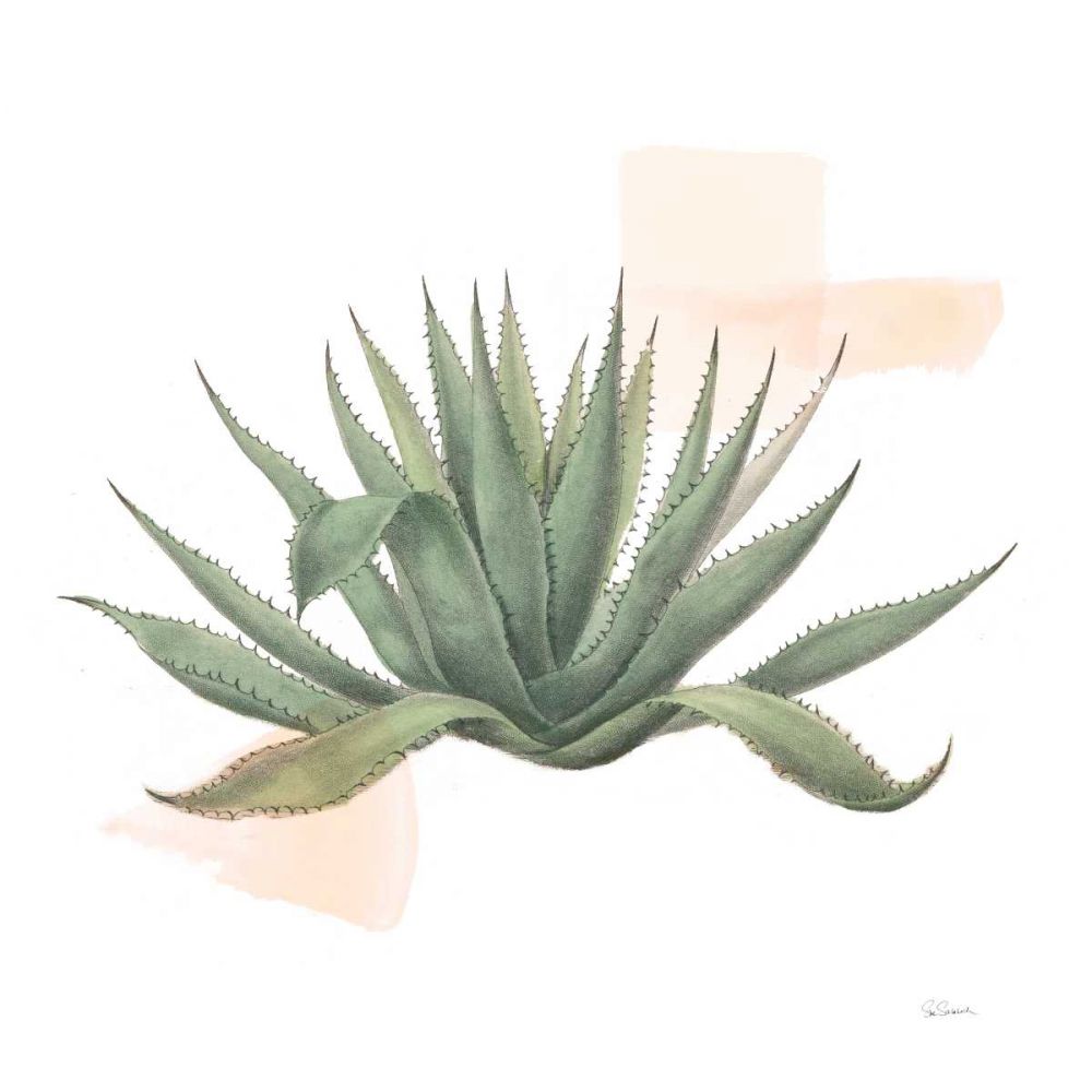 Desert Color Succulent I art print by Sue Schlabach for $57.95 CAD