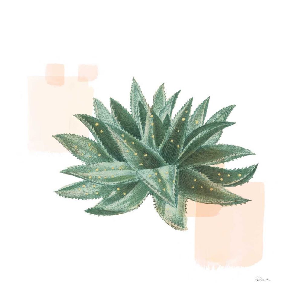 Desert Color Succulent II art print by Sue Schlabach for $57.95 CAD