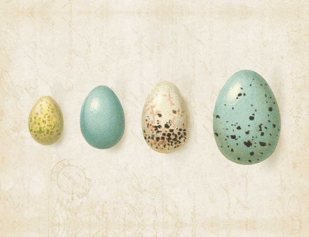 Row of Eggs II art print by Katie Pertiet for $57.95 CAD