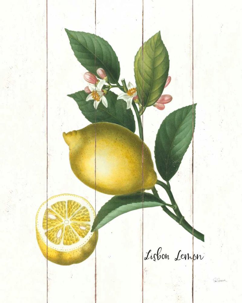 Cottage Lemon I art print by Sue Schlabach for $57.95 CAD