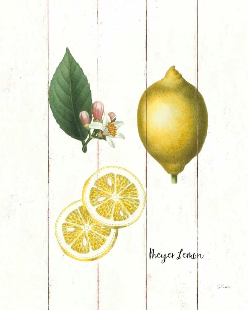 Cottage Lemon II art print by Sue Schlabach for $57.95 CAD