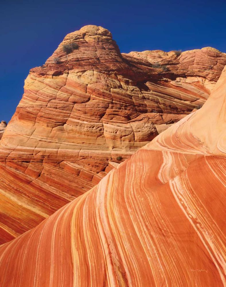 Coyote Buttes I art print by Alan Majchrowicz for $57.95 CAD