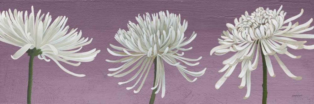 Morning Chrysanthemums V Lavender art print by Kathrine Lovell for $57.95 CAD