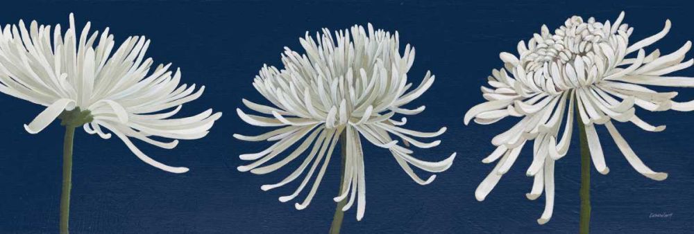 Morning Chrysanthemums V Dark Blue art print by Kathrine Lovell for $57.95 CAD