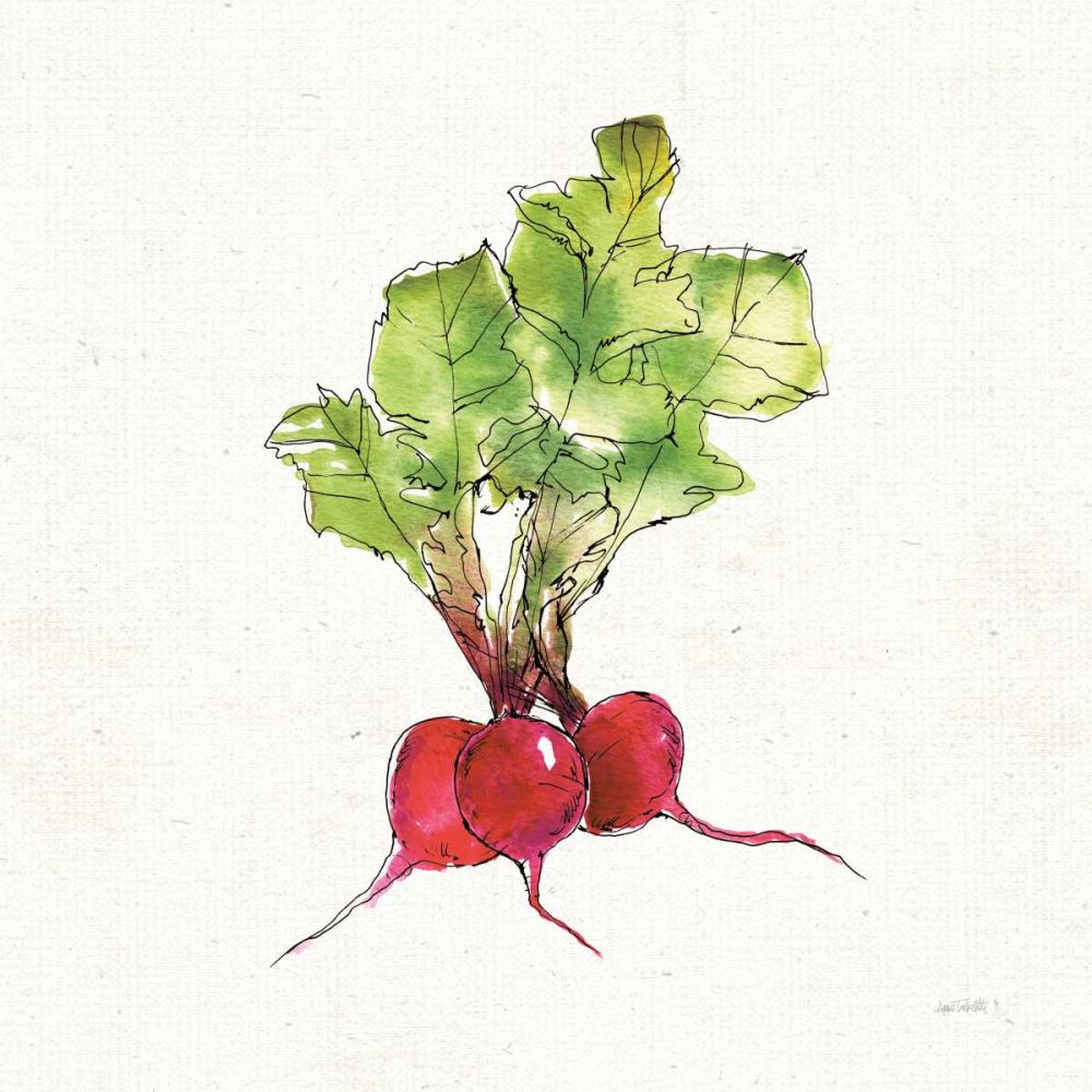 Veggie Market II Radish art print by Anne Tavoletti for $57.95 CAD