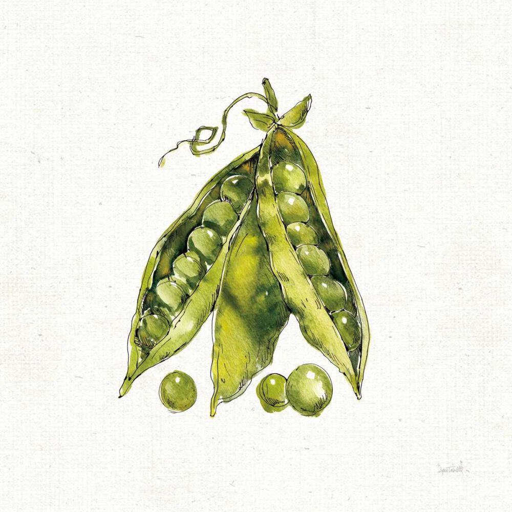 Veggie Market IV Peas art print by Anne Tavoletti for $57.95 CAD