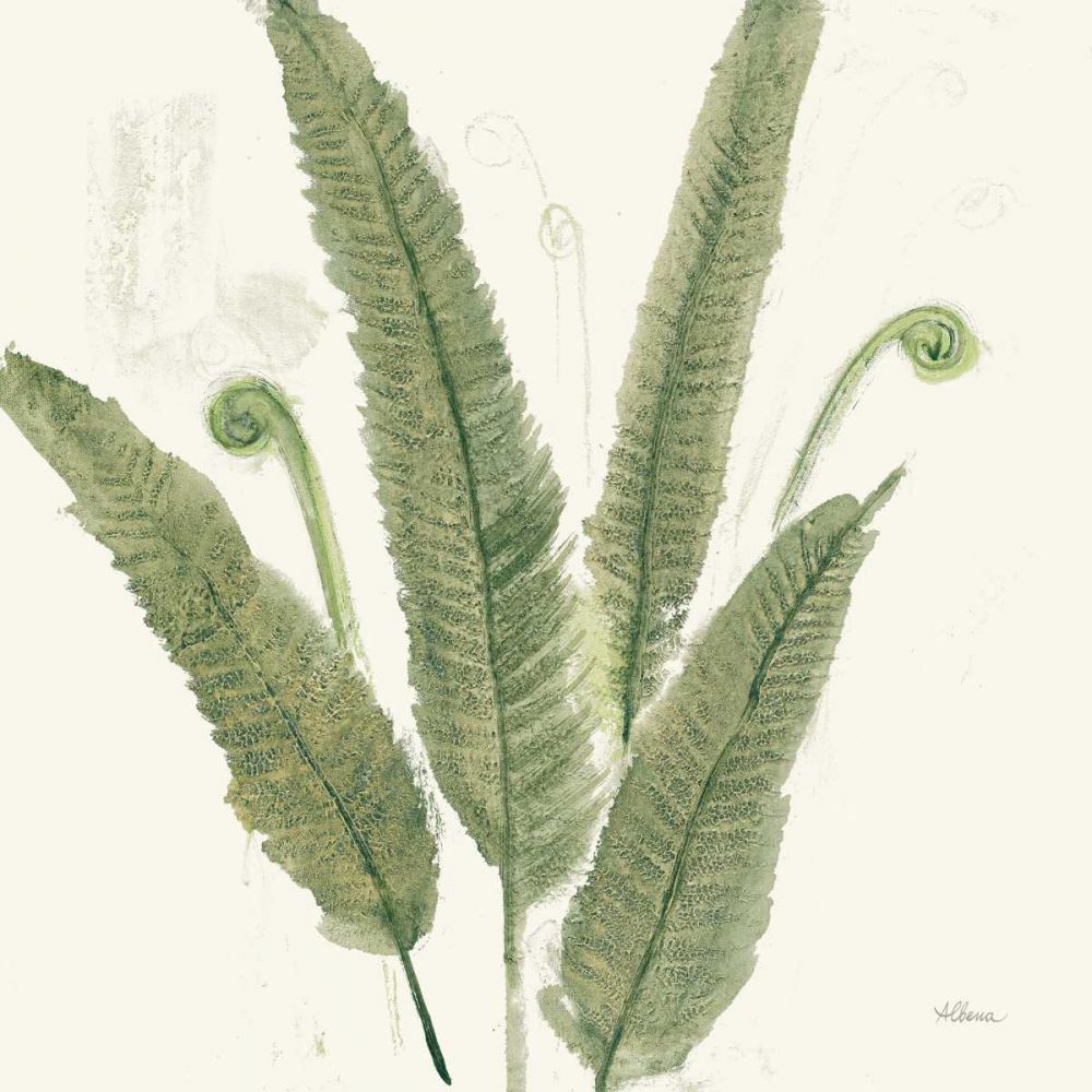 Forest Ferns II Dark art print by Albena Hristova for $57.95 CAD