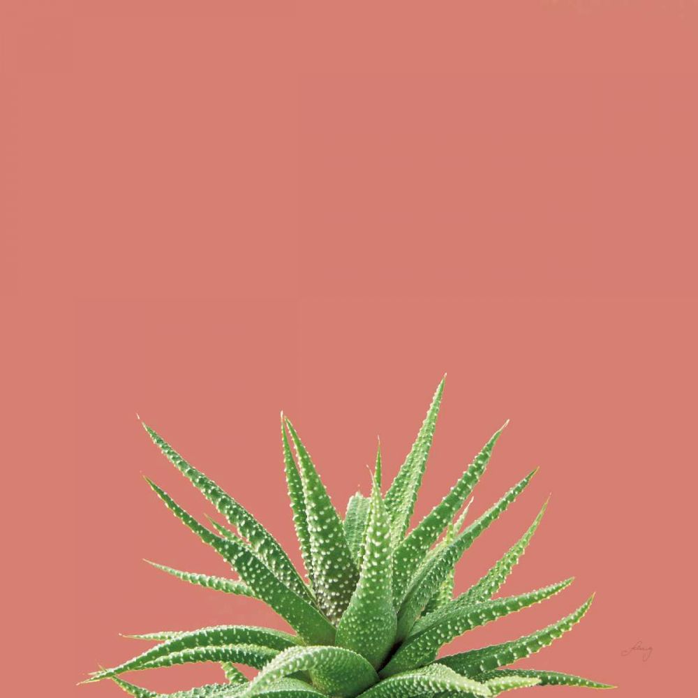 Succulent Simplicity I Coral art print by Felicity Bradley for $57.95 CAD