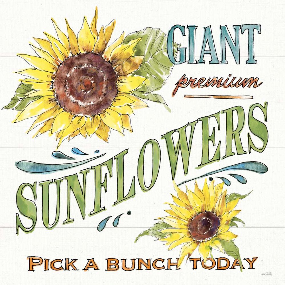 Sunflower Fields IV art print by Anne Tavoletti for $57.95 CAD