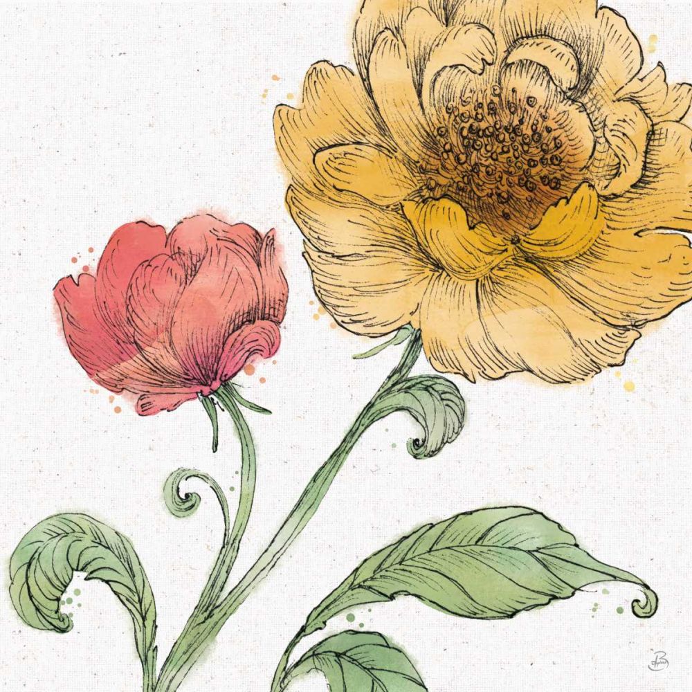 Blossom Sketches III Color art print by Daphne Brissonnet for $57.95 CAD