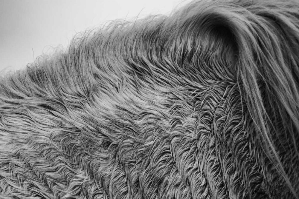 Horse Hair art print by Aledanda for $57.95 CAD