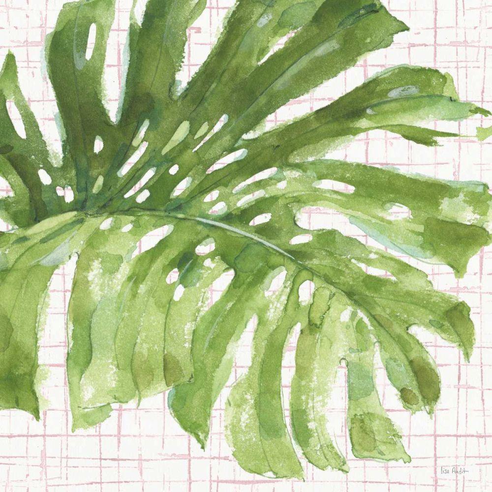 Mixed Greens LXXIV on Pink art print by Lisa Audit for $57.95 CAD