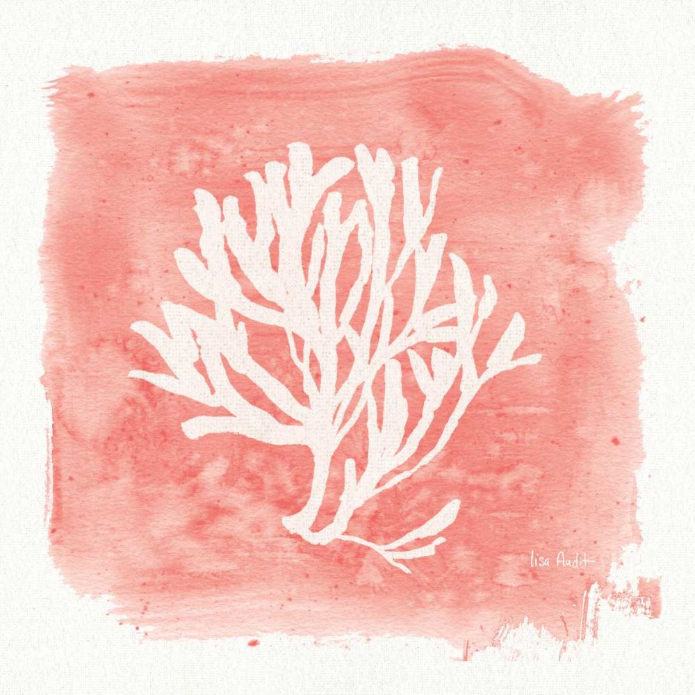 Water Coral Cove III art print by Lisa Audit for $57.95 CAD