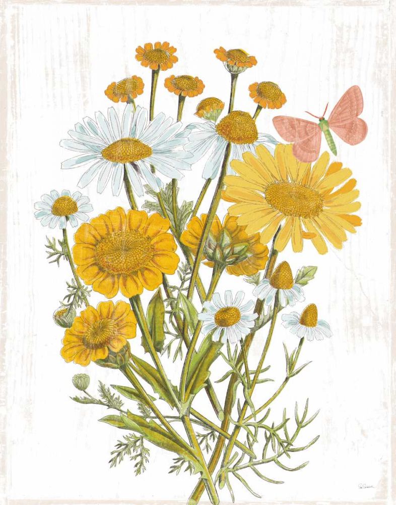 White Barn Flowers X art print by Sue Schlabach for $57.95 CAD
