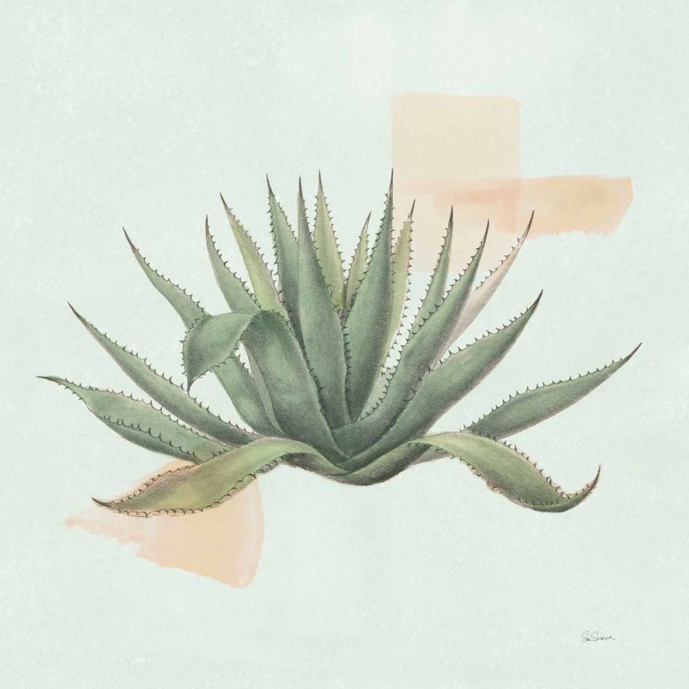 Desert Color Succulent I Mint art print by Sue Schlabach for $57.95 CAD
