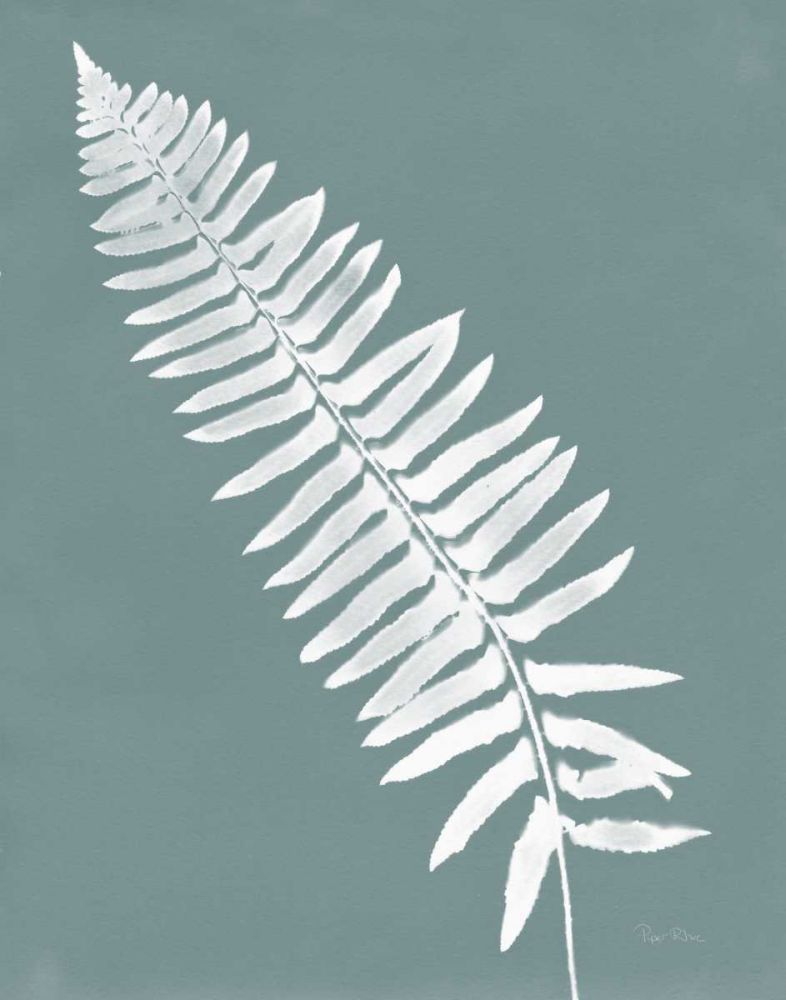 Nature by the Lake Ferns IV Gray Mist Crop art print by Piper Rhue for $57.95 CAD