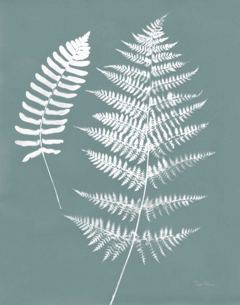 Nature by the Lake Ferns V Gray Mist Crop art print by Piper Rhue for $57.95 CAD