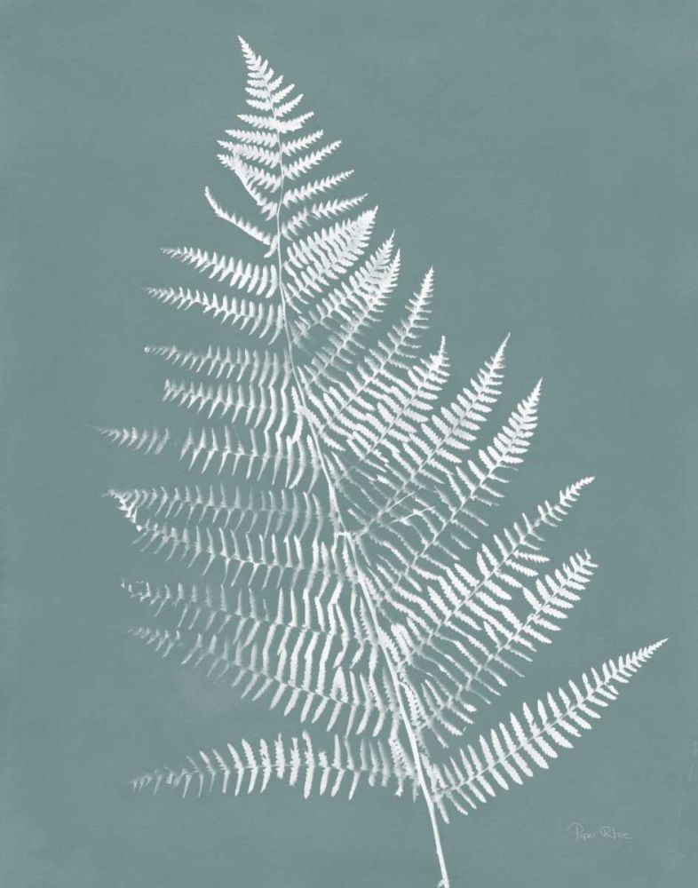 Nature by the Lake Ferns VI Gray Mist Crop art print by Piper Rhue for $57.95 CAD