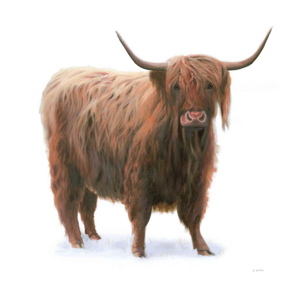 King of the Highland Fields on White art print by James Wiens for $57.95 CAD