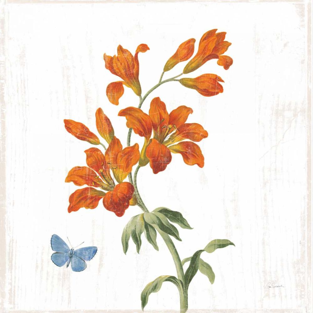 White Barn Flowers VII Sq art print by Sue Schlabach for $57.95 CAD