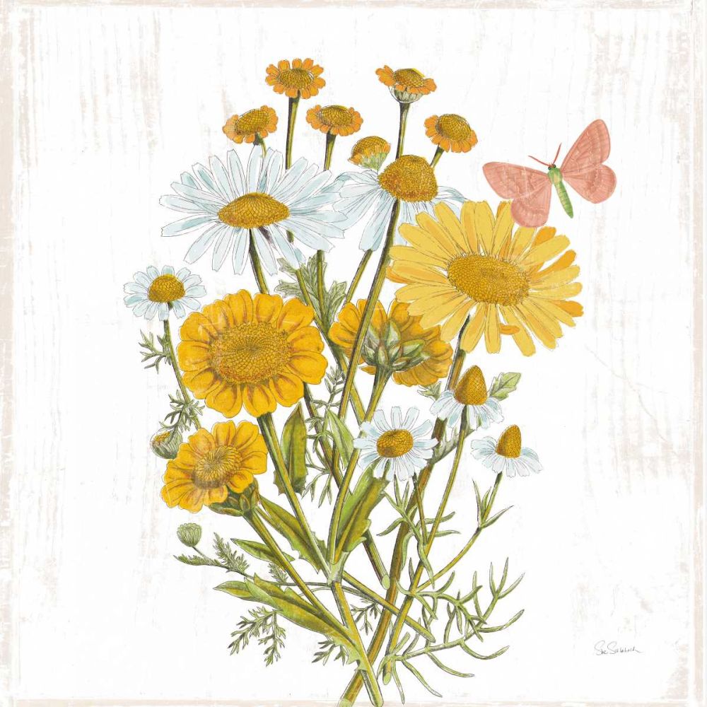 White Barn Flowers X Sq art print by Sue Schlabach for $57.95 CAD