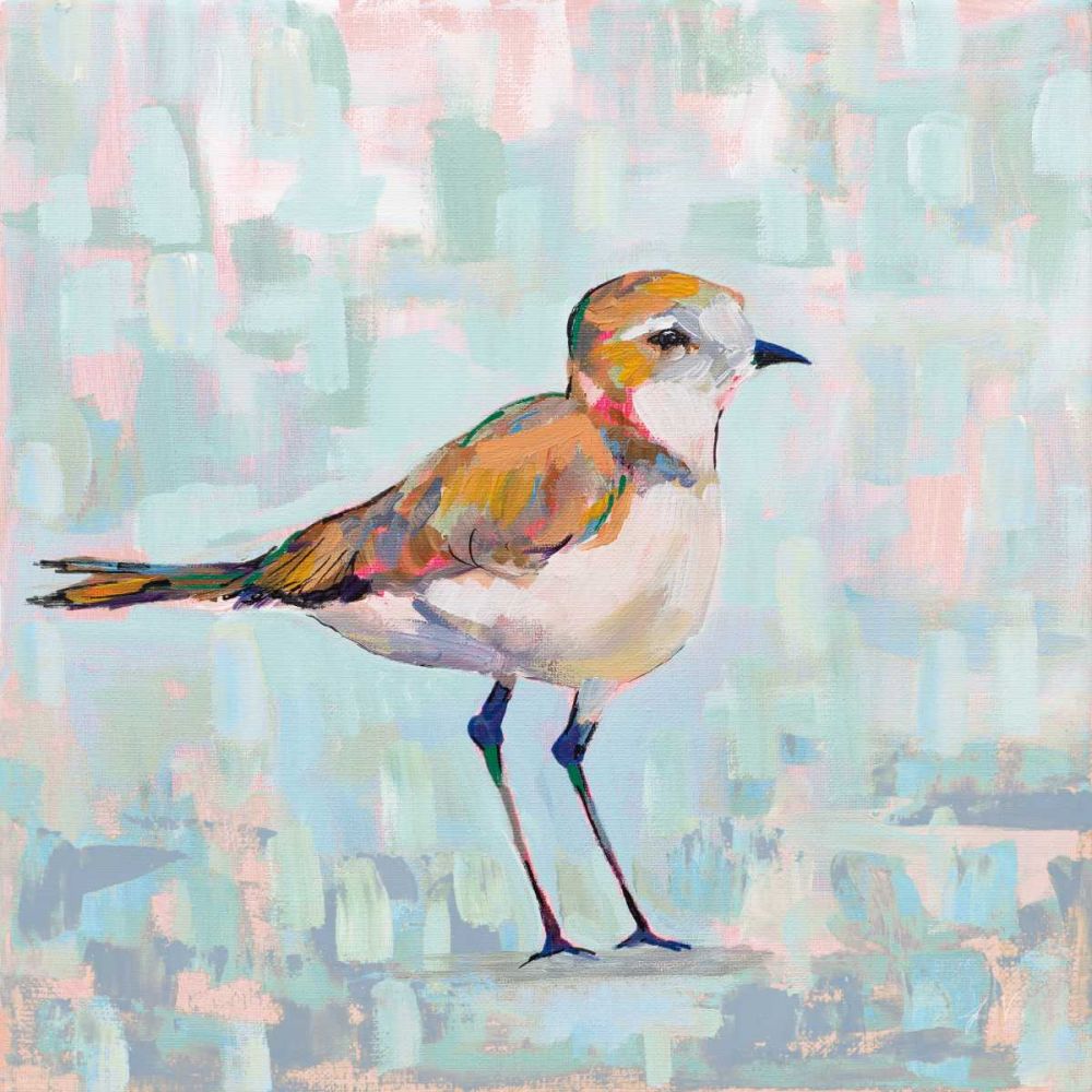 Coastal Plover III Neutral art print by Jeanette Vertentes for $57.95 CAD