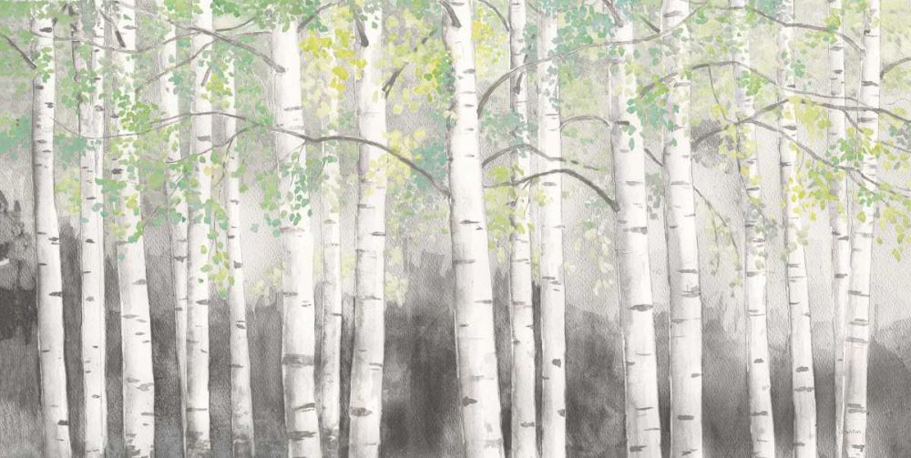 Soft Birches Charcoal art print by James Wiens for $57.95 CAD