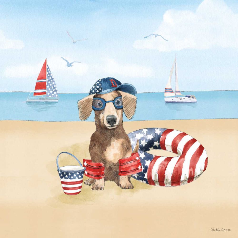 Summer Paws Patriotic III art print by Beth Grove for $57.95 CAD