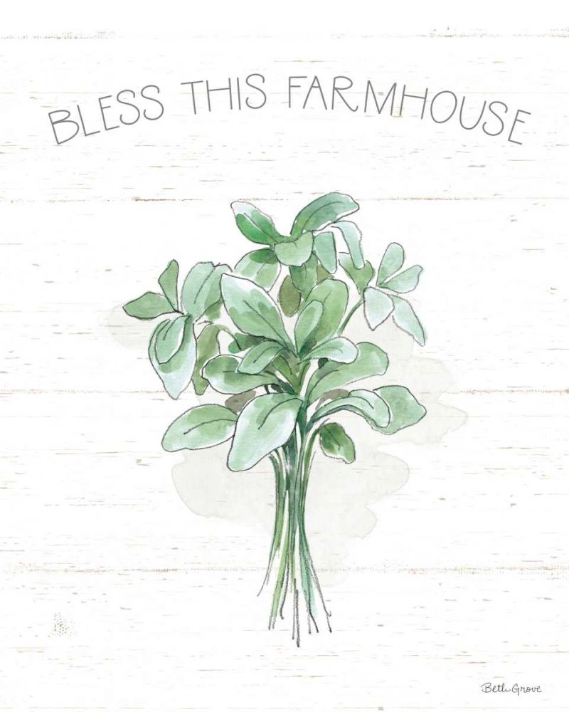 Farmhouse Cotton VI Sage art print by Beth Grove for $57.95 CAD