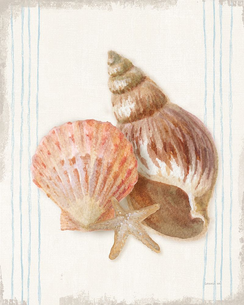 Floursack Nautical Shells I art print by Danhui Nai for $57.95 CAD
