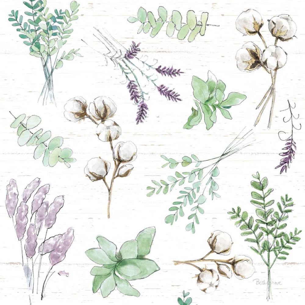 Farmhouse Cotton Pattern I Sage art print by Beth Grove for $57.95 CAD