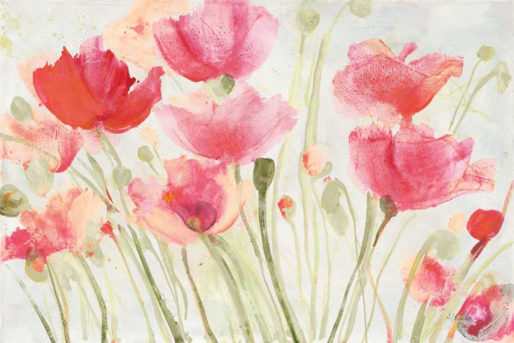 Blush Poppies art print by Albena Hristova for $57.95 CAD